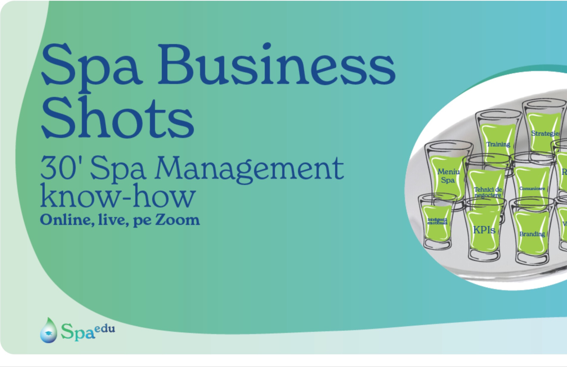 Transforming Spa Management Education: The SpaEdu Revolution